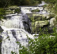 Agnes Falls Scenic Reserve - Winery Find