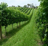 The Cups Estate - Winery Find