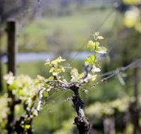 Kyneton Ridge Estate - Winery Find