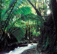 Melba Gully - Winery Find