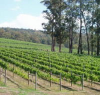 Piedmont Vineyard - Winery Find