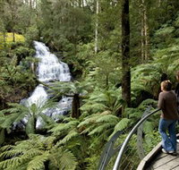 Great Otway National Park - Winery Find