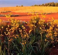Royal Botanic Gardens Victoria Cranbourne - Winery Find