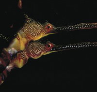 Eagle Rock Marine Sanctuary - Winery Find