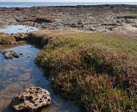 Ricketts Point Marine Sanctuary - Winery Find 0