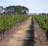 Mount Beckworth Wines - Winery Find