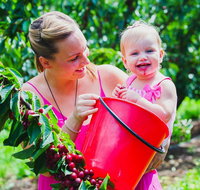 Cherryhill Orchards - Winery Find