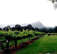 Cambewarra Estate Wines - Winery Find