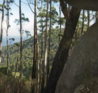 Gulaga National Park - Winery Find