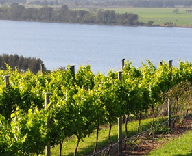 Two Figs Winery - Winery Find 0