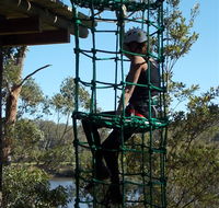 Trees Adventure Shoalhaven - Winery Find