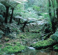 Deua National Park - Winery Find