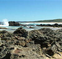 Coastal Walks - Bermagui - Winery Find