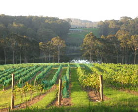 Narooma NSW Winery Find