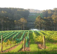 Tilba Valley Wines - Winery Find