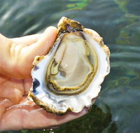 The Oyster Pot - Winery Find