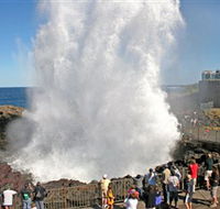 Kiama Blowhole - Winery Find