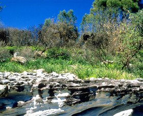 Abrahams Bosom Reserve - Winery Find 0