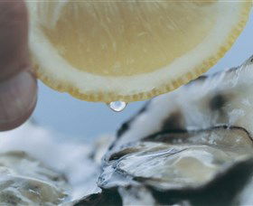 Pearly Oyster Bar And Farm - Winery Find 0