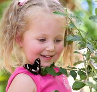 Coffs Harbour Butterfly House - Winery Find