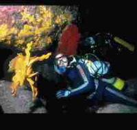 Solitary Islands Marine Park - Winery Find