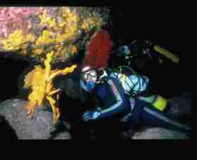 Solitary Islands Marine Park - Winery Find 0