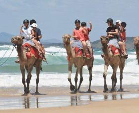 Camel Rides With Coffs Coast Camels - Winery Find 0