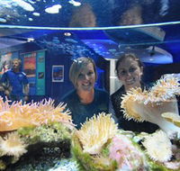 Solitary Islands Aquarium - Winery Find