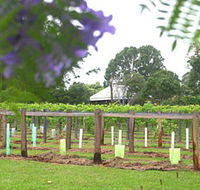 Douglas Vale Historic Homestead  Vineyard - Winery Find