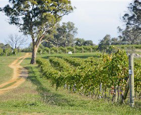 Shaw Vineyard Estate - Winery Find 1