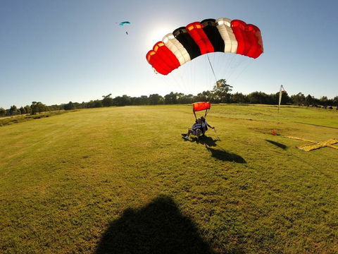 Skydive Sydney North Coast - Winery Find 10