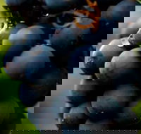 Swinging Bridge Estate - Winery Find