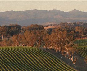 Panuara NSW Winery Find