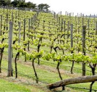 Bantry Grove - Winery Find