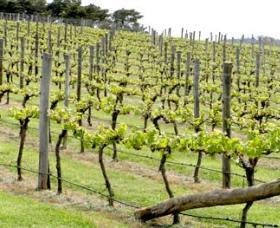 Bantry Grove - Winery Find 0