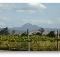 Ironbark Ridge Vineyard - Winery Find