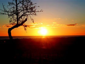 Rocky Ridge Vineyard And Cellar Door - Winery Find 0