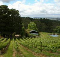 Arranmore Wines - Winery Find