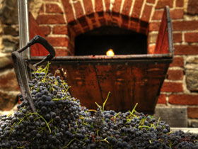 Rockford Wines - Winery Find 2