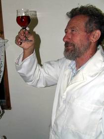 Buchfelde SA Winery Find