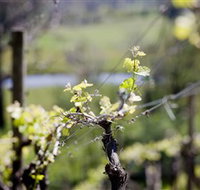 Mount Cole WineWorks - Winery Find