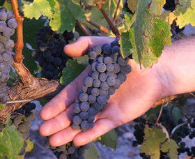 Eagles Rise Wine - Winery Find 0
