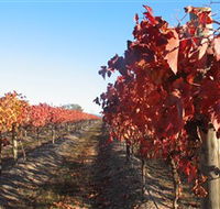 Kooyonga Creek Wines - Winery Find