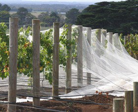 Paradigm Hill - Winery Find 1