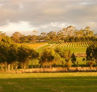 Gosling Creek - Winery Find