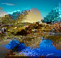 Loira Vines - Winery Find