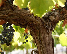 Harcourt VIC Winery Find
