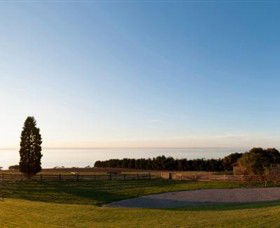 Jack Rabbit Vineyard - Winery Find 3