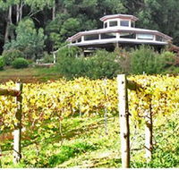 Peveril Vineyard/Beechy Berries - Winery Find