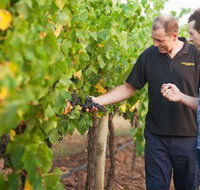 Fratin Brothers Vineyard - Winery Find